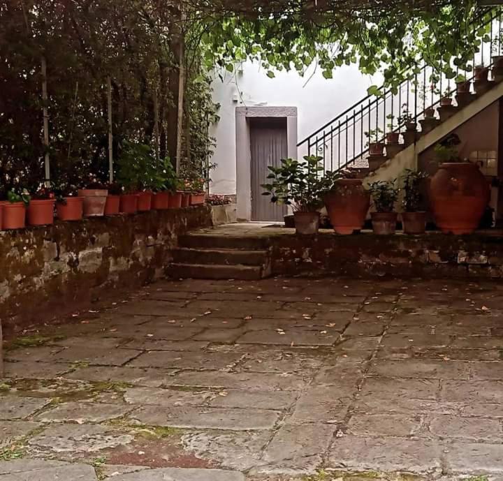 Albergo Del Ponte San Piero in Bagno Exteriér fotografie